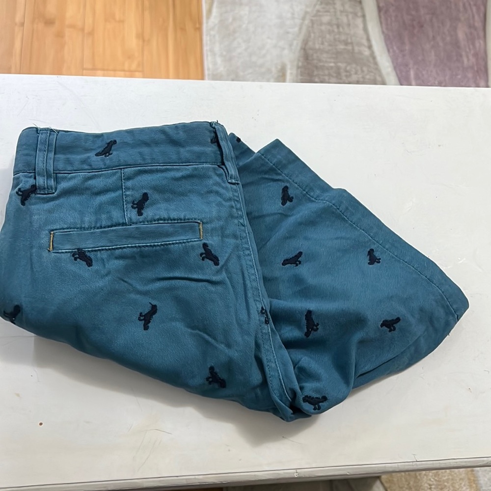 Pique Nique Boy’s Shorts